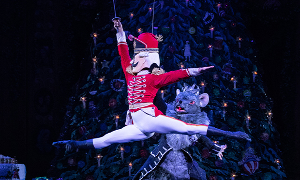 The Nutcracker