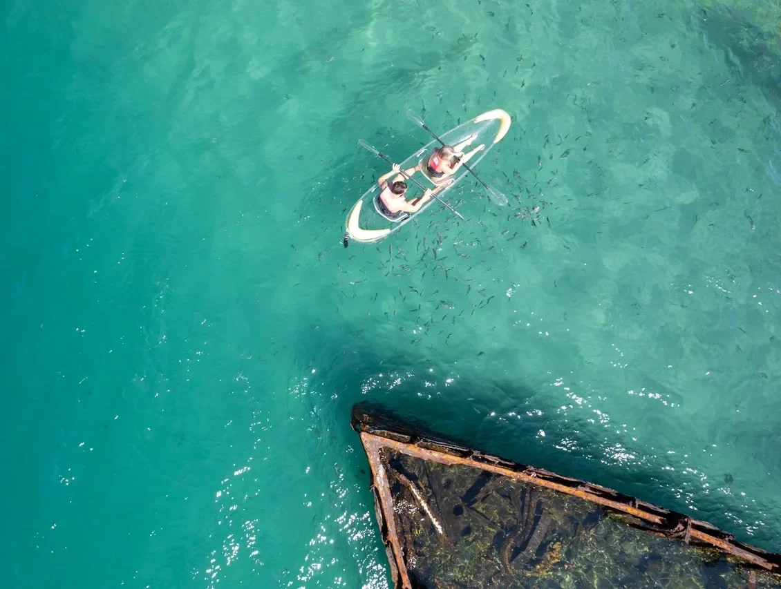 Brisbane Kayak Tour