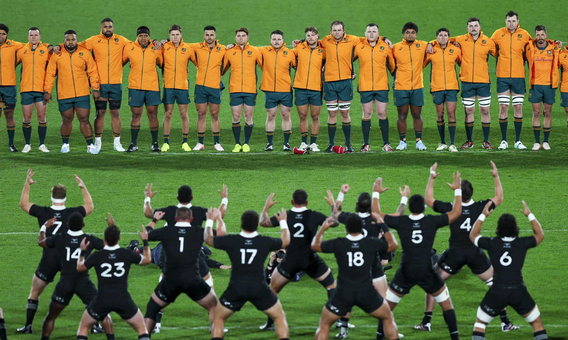 Bledisloe Cup